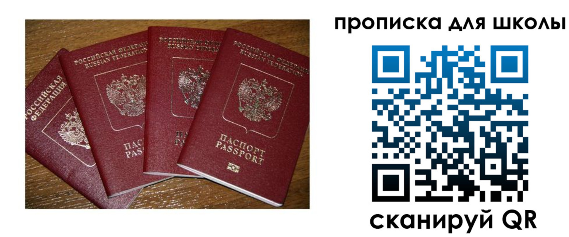 прописка штамп в Вязьме